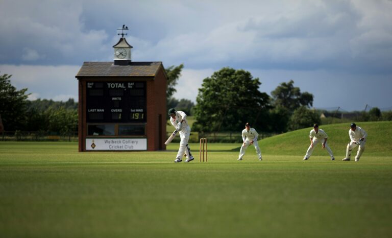 Cricket in Literature and Art: Depictions and Inspirations