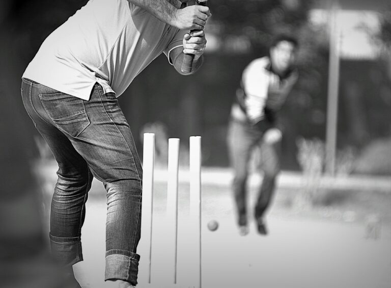 Cricket and Artificial Intelligence: Insights from 11xplay Pro