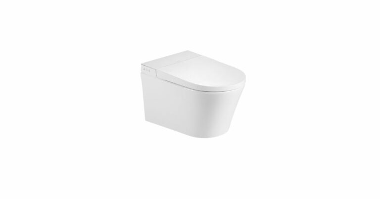 The Future of Bathroom Technology: Exploring the Smart Toilet Bowl